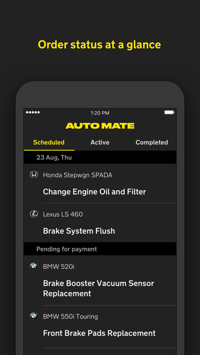 AutoMate Pro screenshot 3