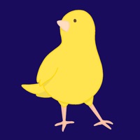 Kontakt Bid Canary