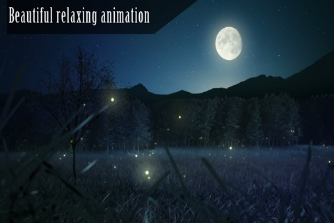 Enchanted Night HD - náhled