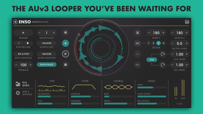 Enso Looper Screenshot 1