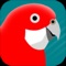 The PIZZEY AND KNIGHT BIRDS OF AUSTRALIA Digital Edition for iPhone and iPad is a comprehensive and interactive application that combines images and sounds on over 900 Australian bird species with seven interactive modules for every aspect of mobile birding