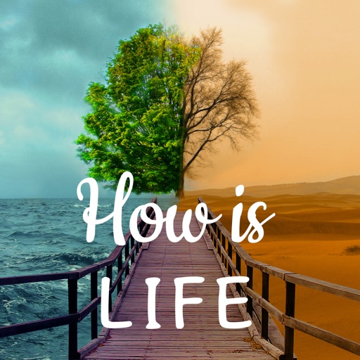 How is Life - Moods & Therapy