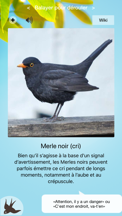 Cui-cui! Chants d'oiseaux Cui-cui! Chants d'oiseaux