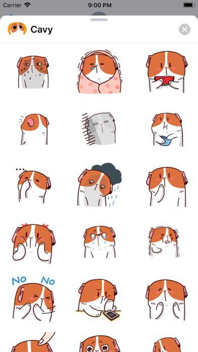 Lovely Cavy Animated Stickers screenshot 3