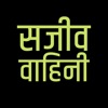Sajeeva Vahini Hindi Bible