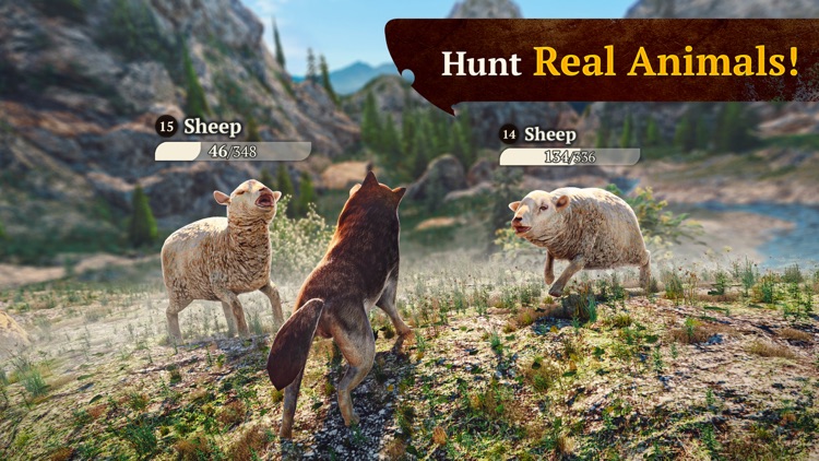 The Wolf: Online RPG Simulator
