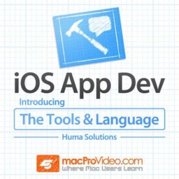 Introducing Tools and Language