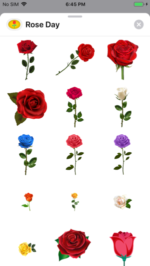 Red Rose Day(圖2)-速報App