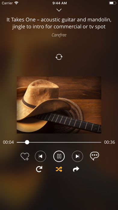 Country Musi: Sounds & Music screenshot 3