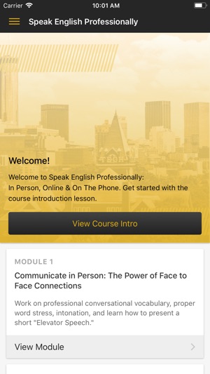 Speak English Professionally(圖2)-速報App