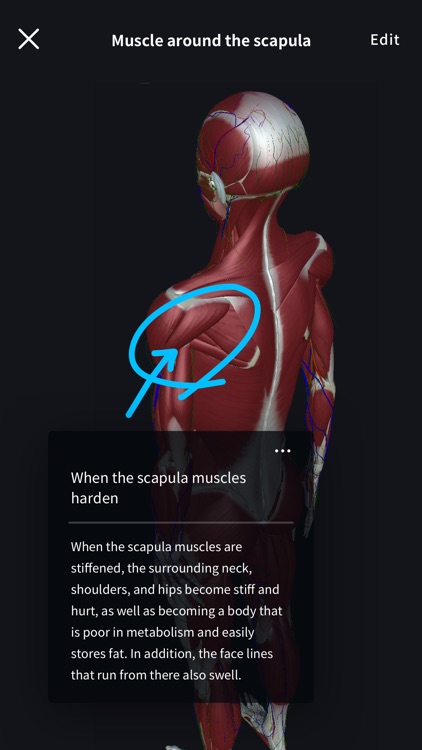 3D anatomy teamLabBody2020 screenshot-8