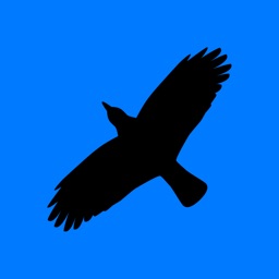 Condor Operations - Blue