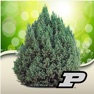 Get Purdue Shrub Doctor for iOS, iPhone, iPad Aso Report