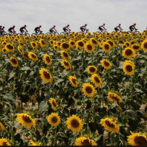 VR Guide: 2021 Tour de France