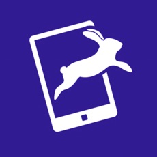 Activities of Cluetivity