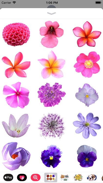 100+ Flower Stickers