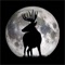 The Deer Hunter’s MoonGuide tells you the best days, times and locations to encounter a mature buck on his feet during daylight hours
