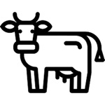 MOOVE