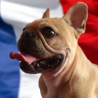 Top 39 Stickers Apps Like Frenchie Stickers - French Bulldog Pack - Best Alternatives