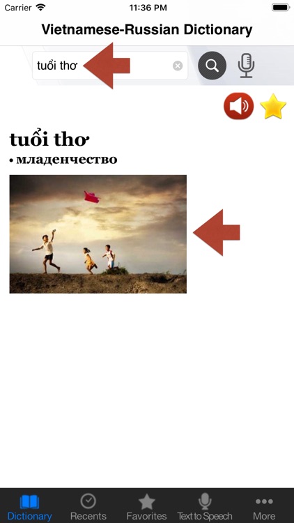 Vietnamese-Russian Dictionary+ screenshot-4