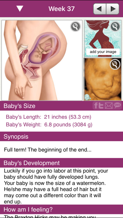 iPregnant Pregnancy Tracker Deluxe (iPeriod's Pregnancy Companion) Screenshot 2