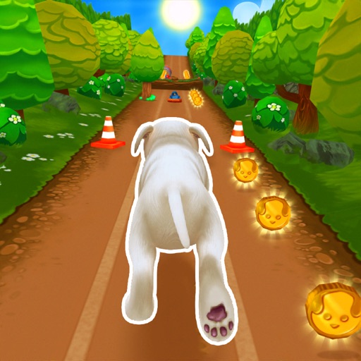 Pet Run - Puppy Dog game