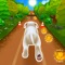 Pet Run is the best free running game where you can meet you new best friend and go for a run