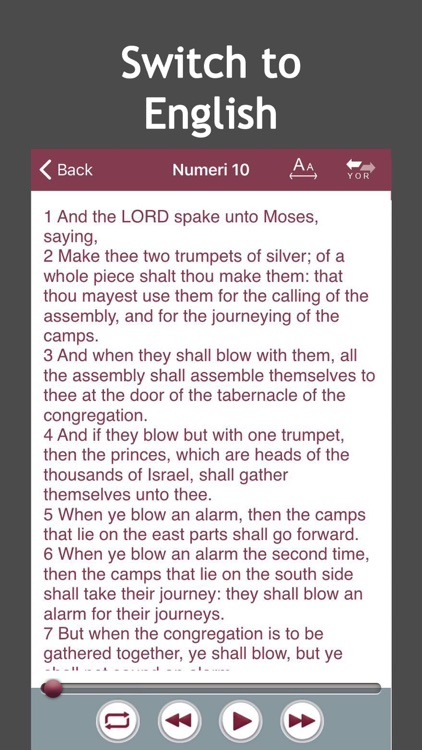 Yoruba Audio Bible screenshot-4
