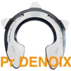 Pr Denoix Shoes