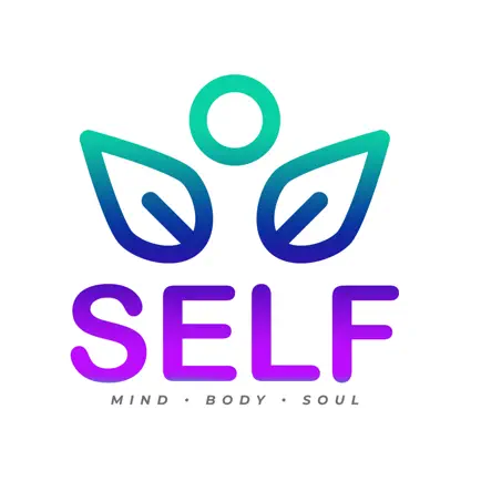 SELF FIT Читы