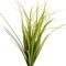 The College of Agriculture at Montana State University and High Country Apps have partnered to produce the new Montana Grasses identification app for smart phones and tablets