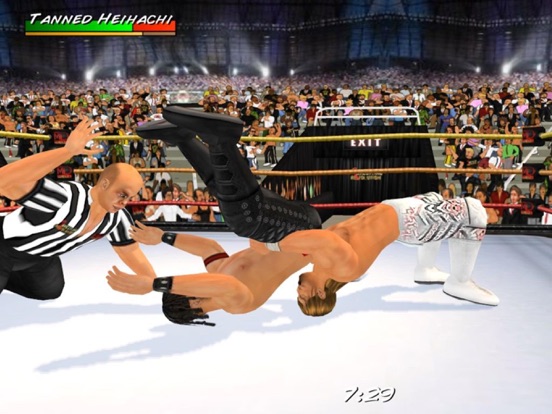 Wrestling Revolution 3D для iPad