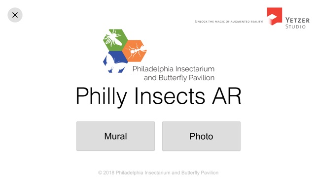 Philly Insects AR(圖2)-速報App