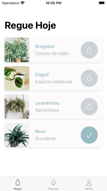 Ginkgo App