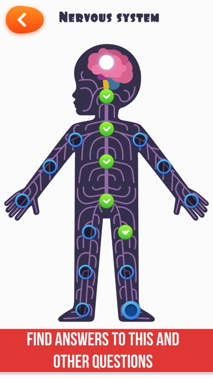 Visual Human Anatomy - My Body screenshot-3