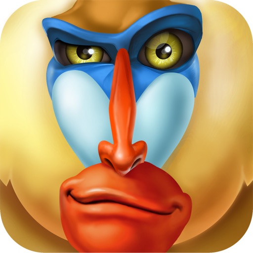 Baboon iOS App