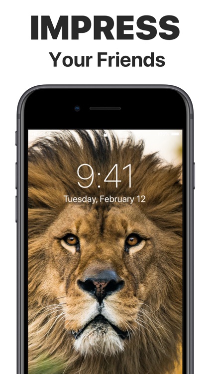 Live Wallpaper & ASMR Studio screenshot-7