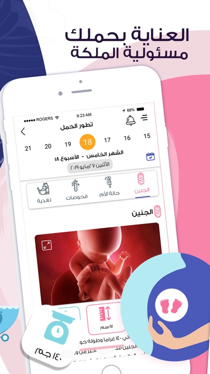 الملكة - حاسبة الدورة والحمل screenshot-4