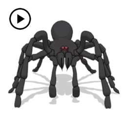 Animated Wolf Spider Sticker