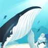Get Hello Whale : Idle Aquarium for iOS, iPhone, iPad Aso Report