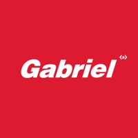 Gabriel Autopartes sur PC