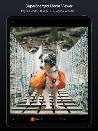 Screenshot 2 Apollo for Reddit iphone