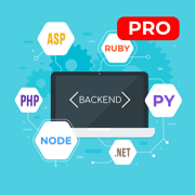 Learn Back-End Development Pro