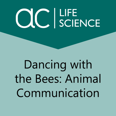 Dancing with the Bees