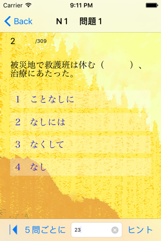 N1 文法問題集 screenshot 3