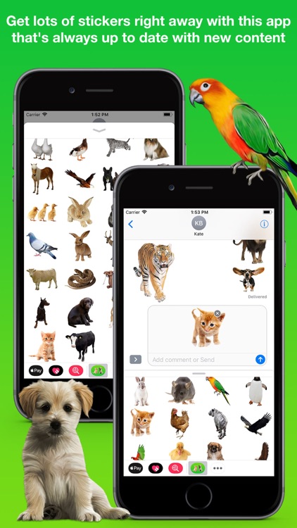 AnimalMoji Stickers