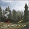 Icon Deep Relax - Meditate, Calm