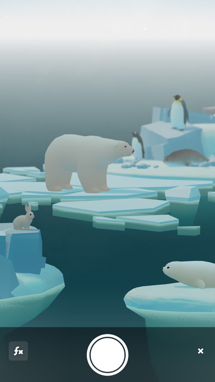 Penguin Isle
