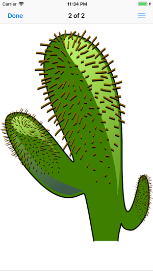 Lotsa Cactus Stickers(圖3)-速報App