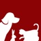 Met onze Dierenkliniek IJsselmuiden app kunt u alle gegevens van uw huisdieren op 1 plek overzichtelijk bijhouden